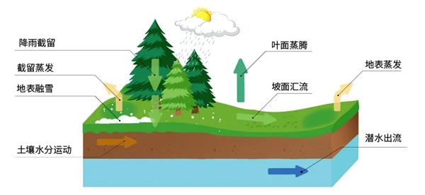 分布式水文預(yù)報模型的剖面圖